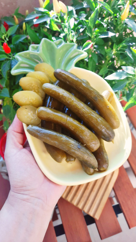 خیار شور
